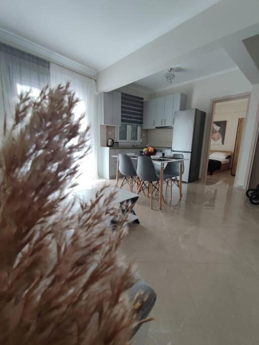 ευρύχωρο και άνετο διαμερισμα Apartment Thessaloniki