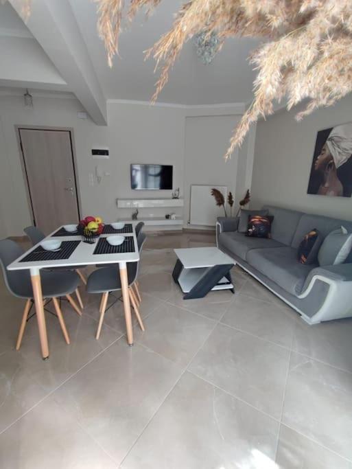 ευρύχωρο και άνετο διαμερισμα Apartment Thessaloniki